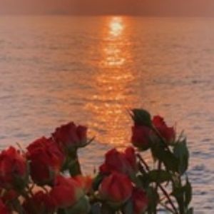 Meet your Posher, Rory